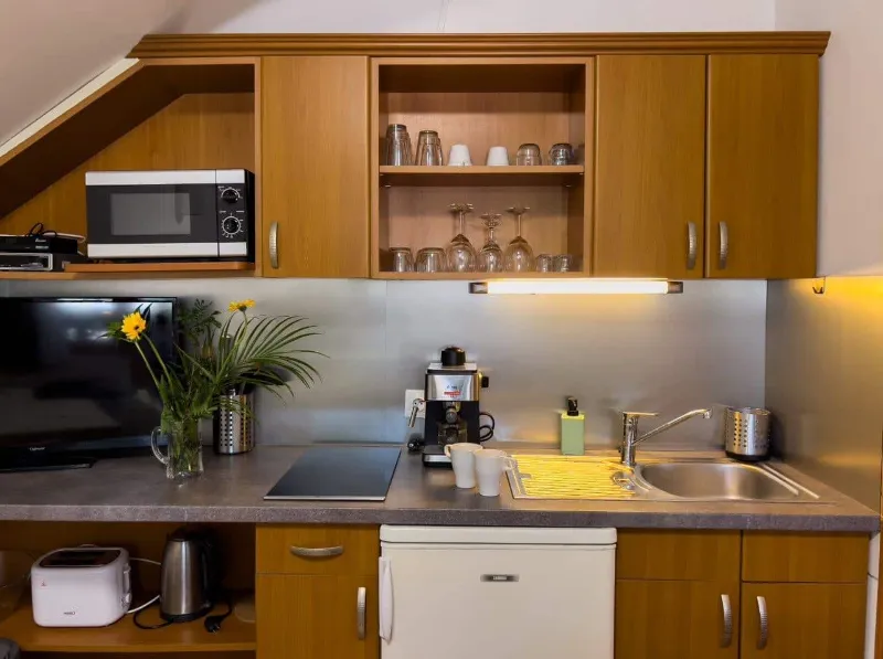 Steiner Villa F1 apartman